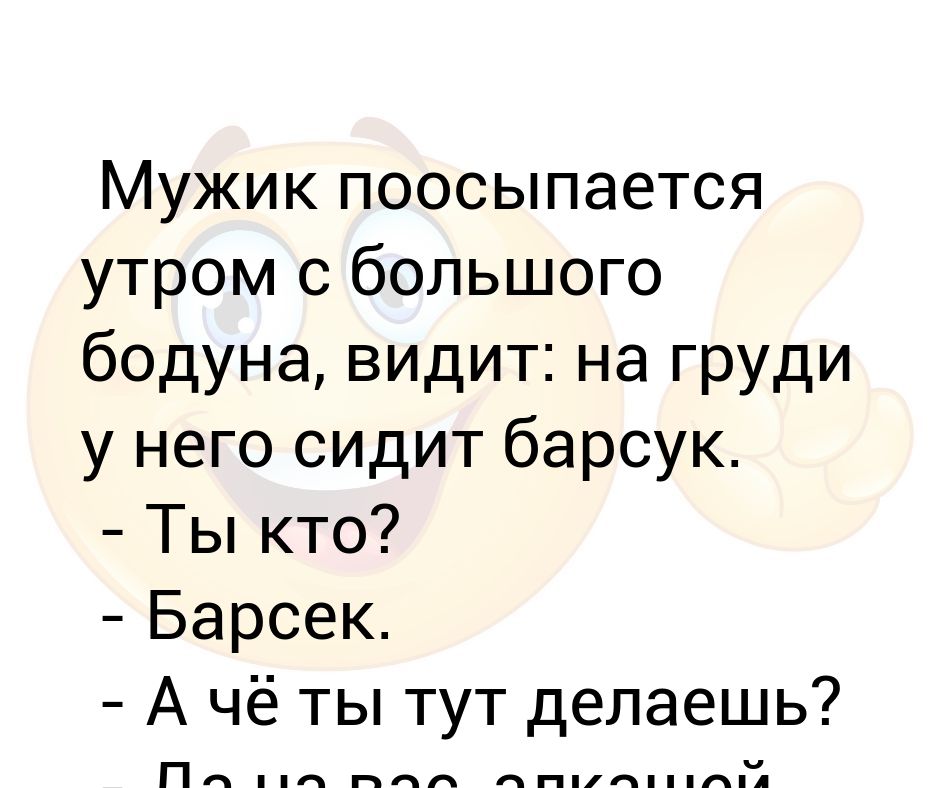 Проснулись мужики текст. Проснулся с бодуна. Утро с большого бодуна. Анекдот про барсука. Анекдот про просыпание.