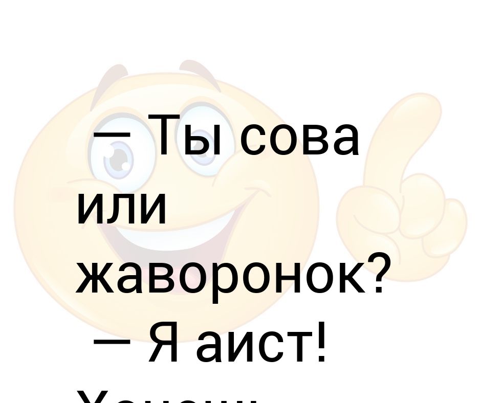 Сова или жаворонок. Ты Сова или Жаворонок. Ты Сова или Жаворонок. Я Феникс. Зай, ты Сова или Жаворонок?. Сова Жаворонок уставшая собака.