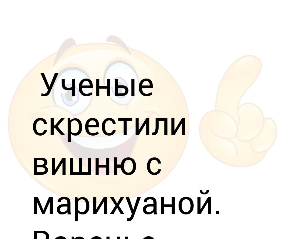 Скрестили арбуз с марихуаной семена в шишках марихуаны
