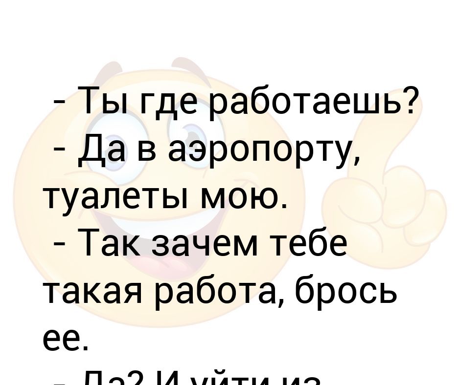 Комиссаренко про туалет в аэропорту