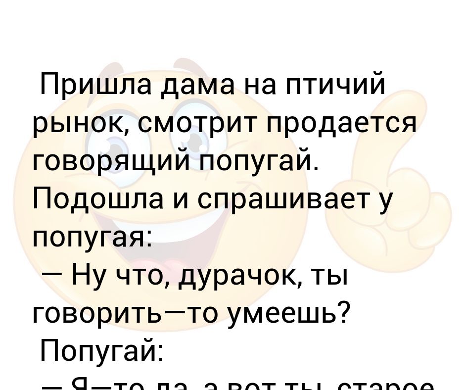 наглые коты. русский язык 3 класс 2 часть страница 85 упражнение 148. на птичьем рынке оксане понравился бойкий попугай. на птичьем рынке оксане понравился бойкий попугай. на птичьем рынке оксане понравился бойкий попугай.