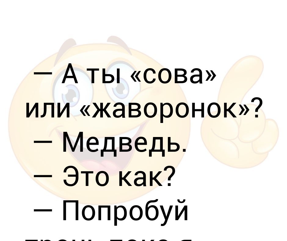 Сова или жаворонок. Пока Совы спали Жаворонки захватили мир. Медведь ты спишь анекдот.