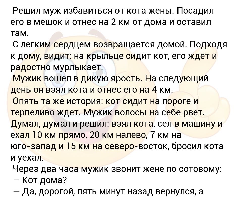 Решил мужик избавиться от кота анекдот. Решил муж избавиться от кота жены посадил. Как спастись от мужа. Муж решил.