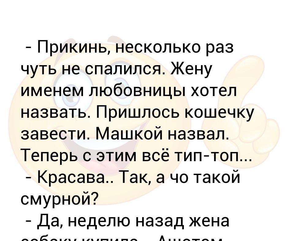 Муж спалил жену с другом. Завел кошку назвал Машкой. Анекдоты про кошка жена. Анекдот зовёт собаку назвал именем лбловницы. Человека заведём Машкой назовём.