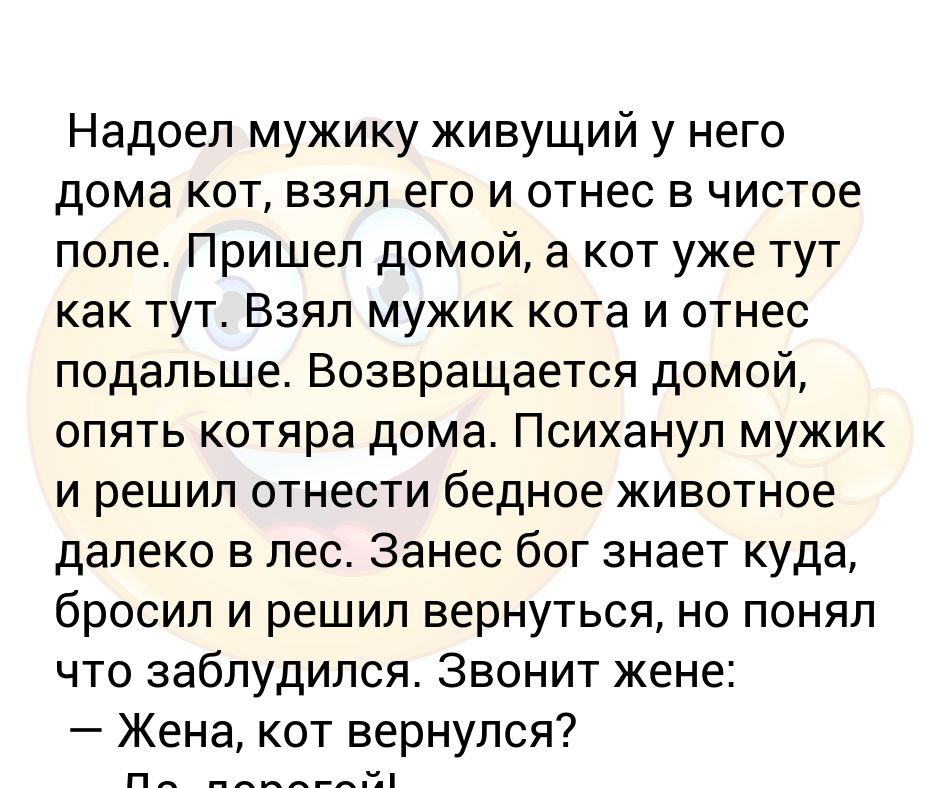 Мужчина взял номер телефона. Анекдот про кота как мужик заблудился. Анекдот про кота и мужика. Надоели мужчины. Надоел мужику кот анекдот.