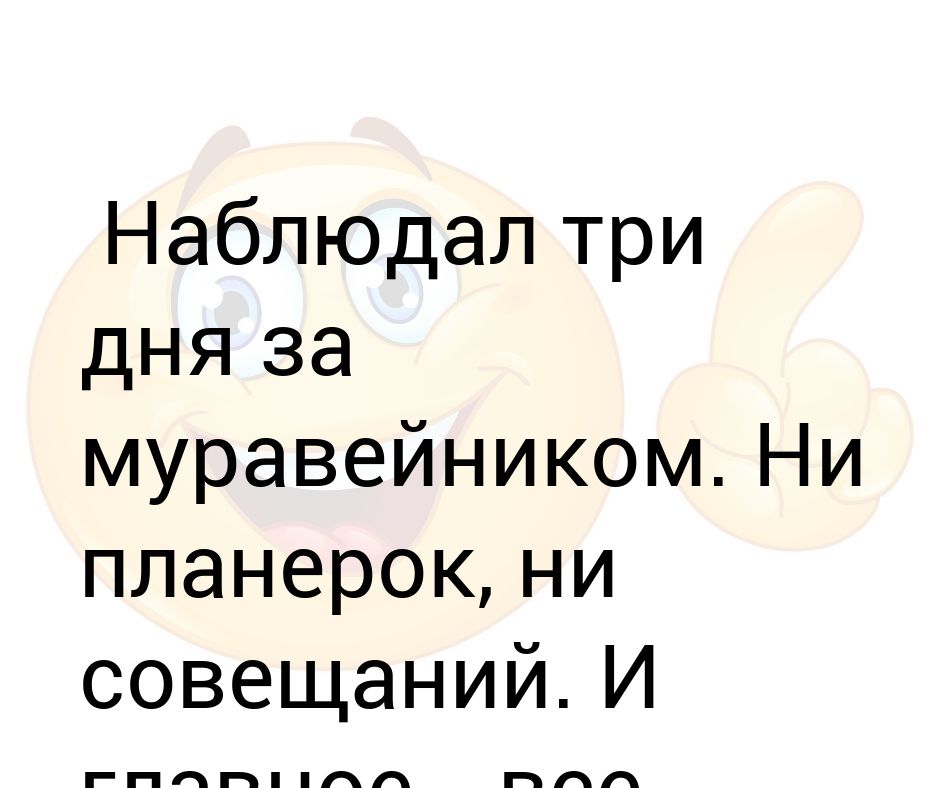 Наблюдая 3. Наблюдал три дня за муравейником. Наблюдал за муравейником ни планерок. Наблюдал за муравейником ни планерок совещаний три. Смотрю на Муравейник ни совещаний.