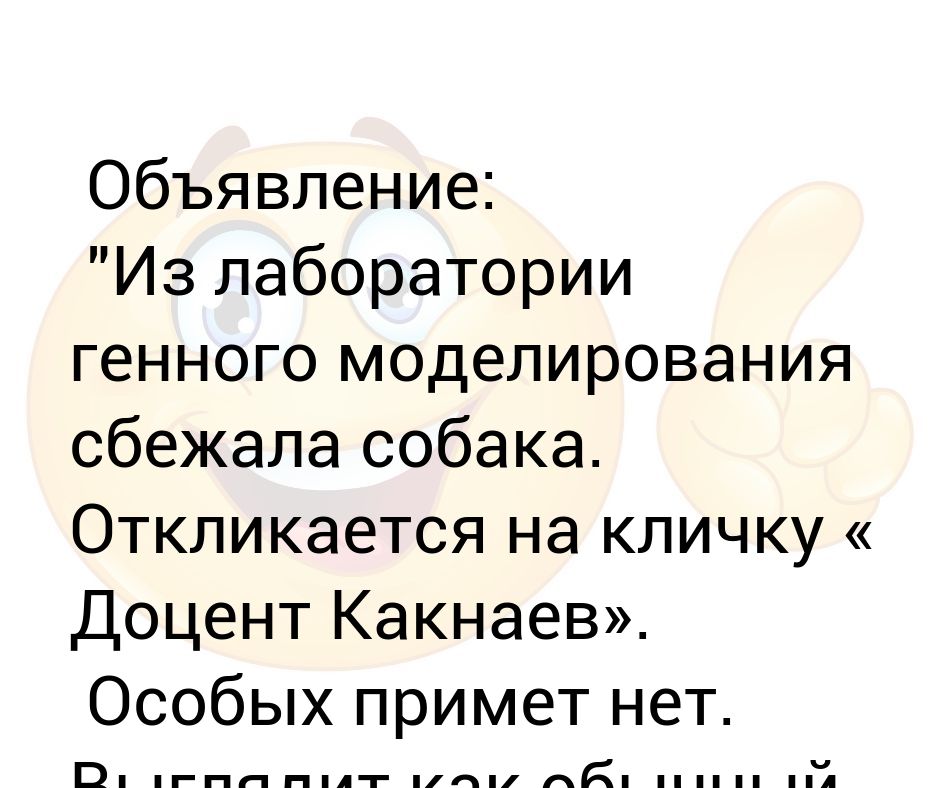 Отзывается откликается. Анекдот откликается на кличку счастливчик. Отзывается на кличку счастливчик. Пропала собака откликается на кличку счастливчик. Кличка счастливчик.