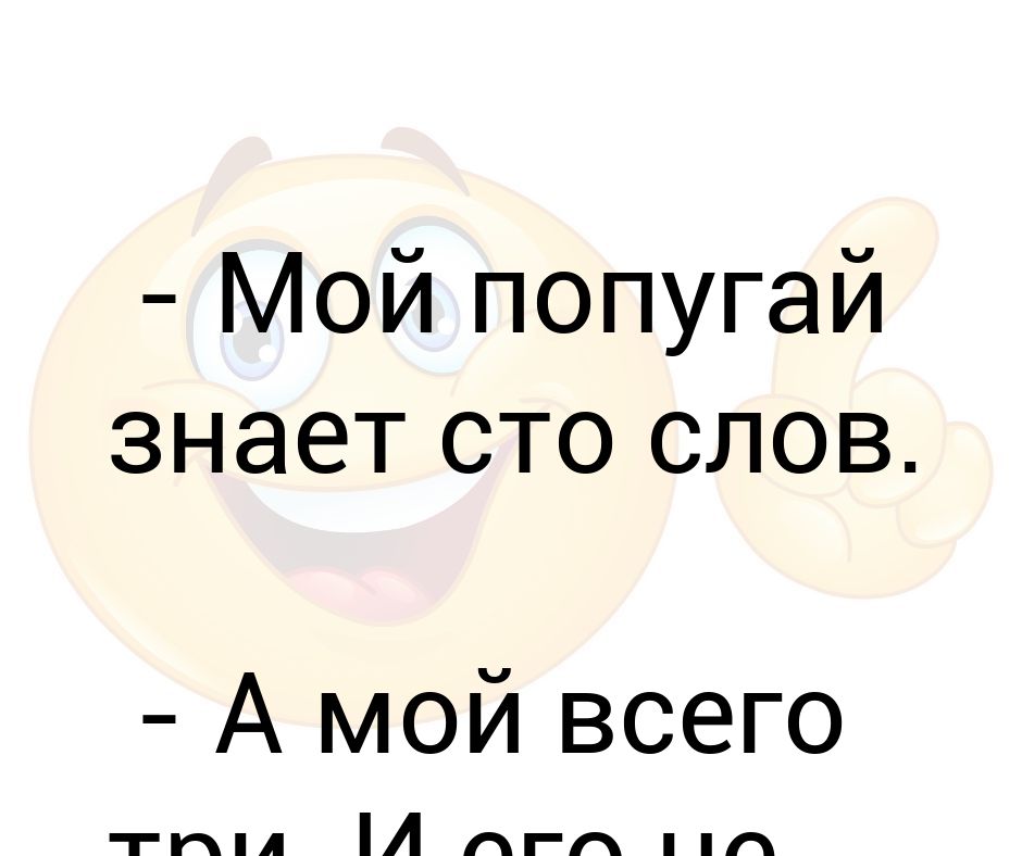 Попугай знает 21 испанское слово