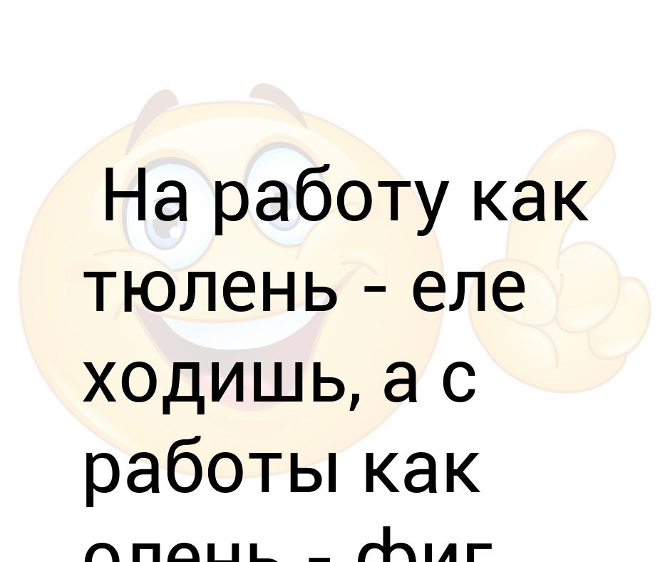 На работу как тюлень а с работы как олень фото