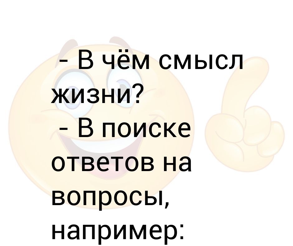 Как личная жизнь ответ. В чем смысл жизни ответ. В чем смысл жить. Ответ на вопрос о смысле жизни. В чём смысл жизни смешные ответы.