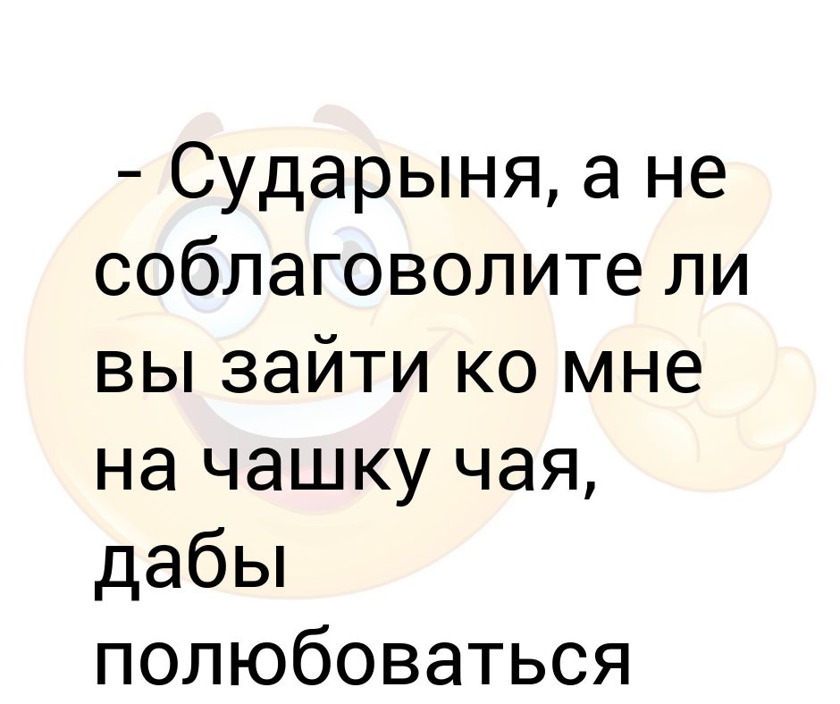 Как переводится сильвупле. Не соблаговолите ли вы Милостивый. Соблаговолите значение. Сударыня приколы. Анекдот про сударыню.