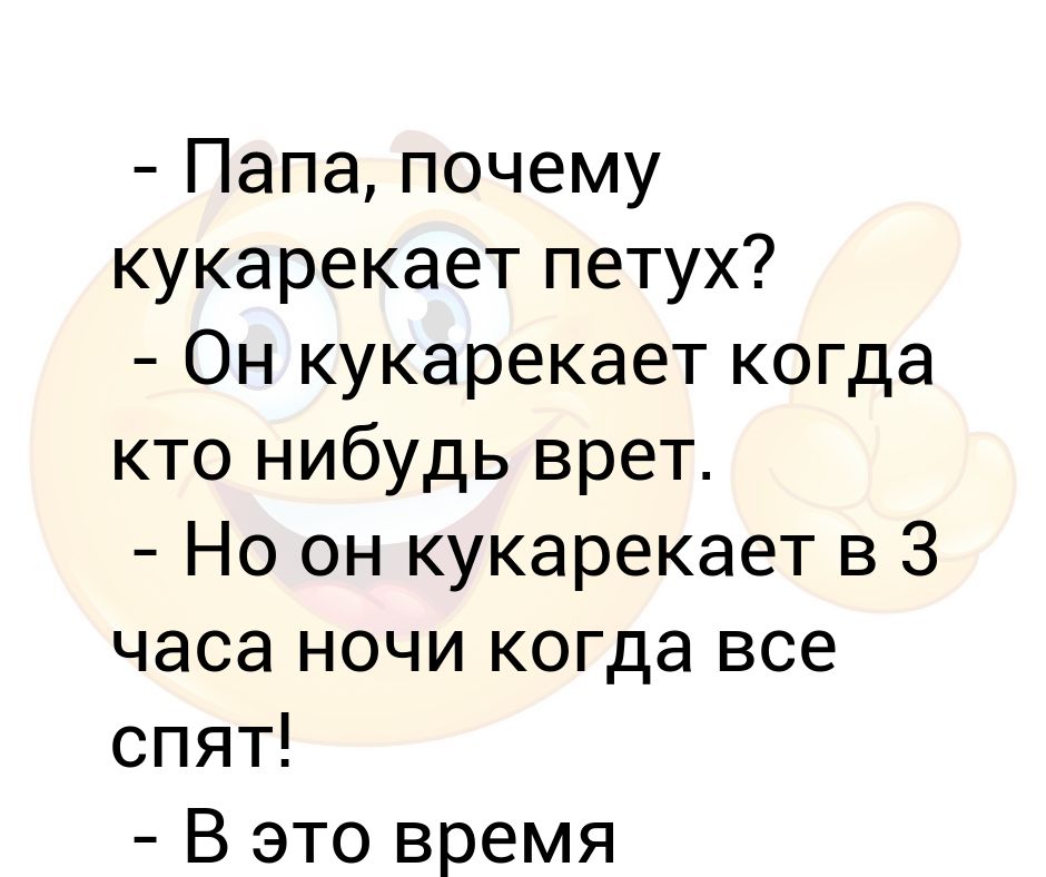 Почему петухи кукарекают утром. Петух кукарекает в 3 часа ночи почему. Почему петух поет в 2 часа ночи. Папа петух.