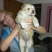 Наталья Васильевна