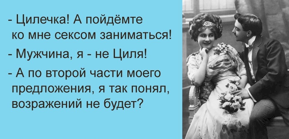 Если кошатнику положить кирпич