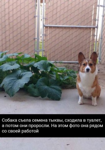 Вам посетить сайт, порно русское помогла сыну этом что-то