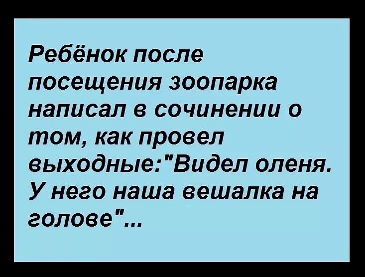 Информация остается. Шутки типо как пишется зоопарк.