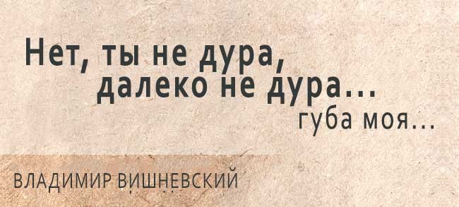 Губа не дура. Владимир Вишневский двустишия. Вишневский стихи двустишия. Двустишия смешные Вишневского. Четверостишия Вишневского юмористические.